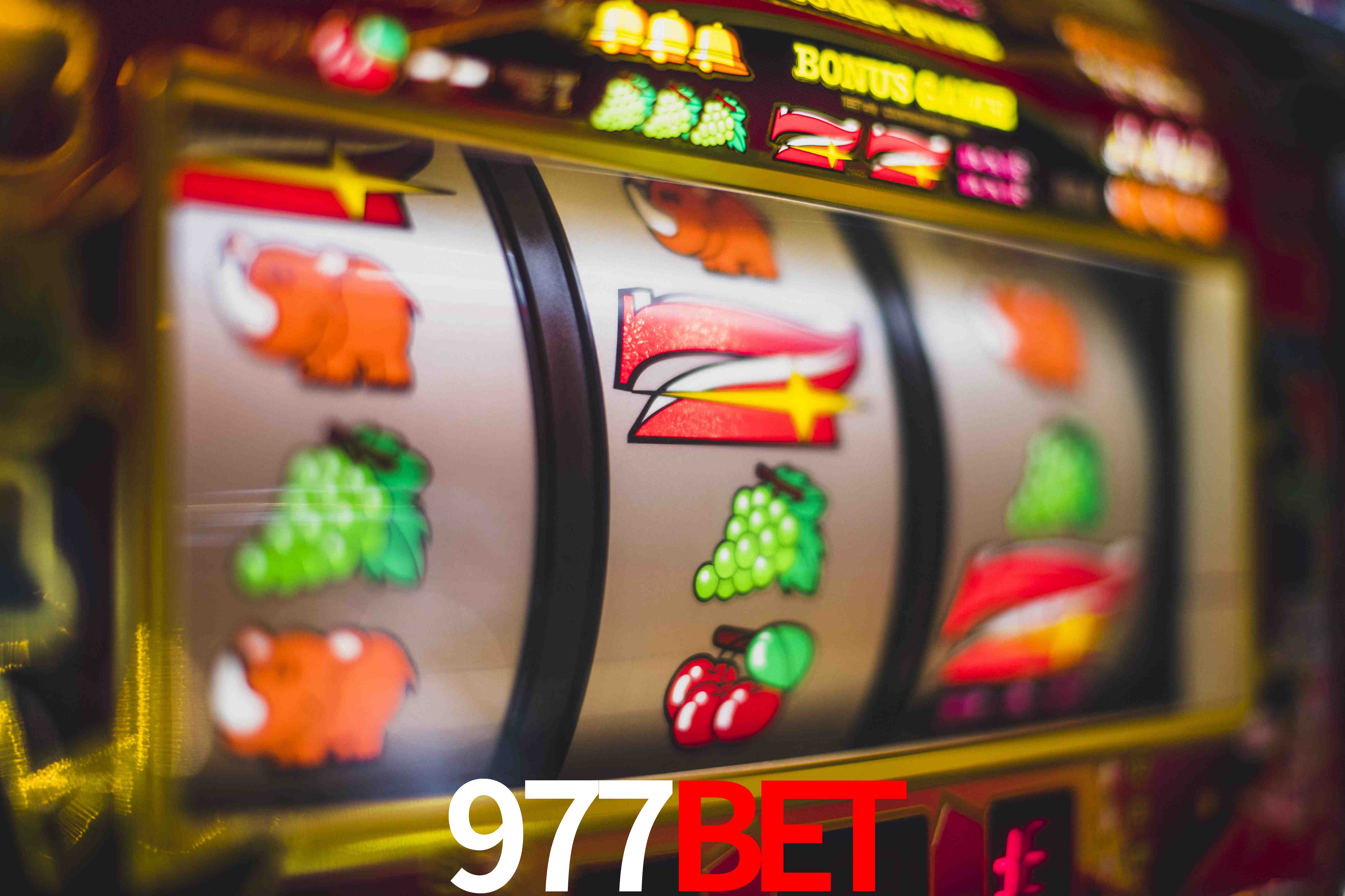 Experiência VIP 977BET